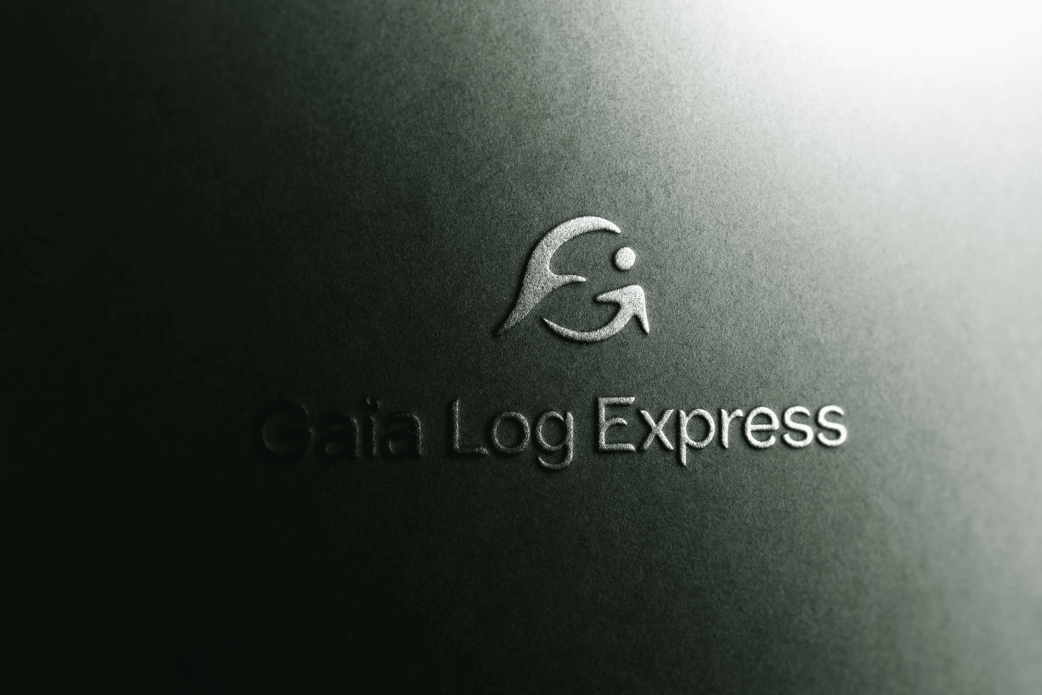 Gaia Log Express