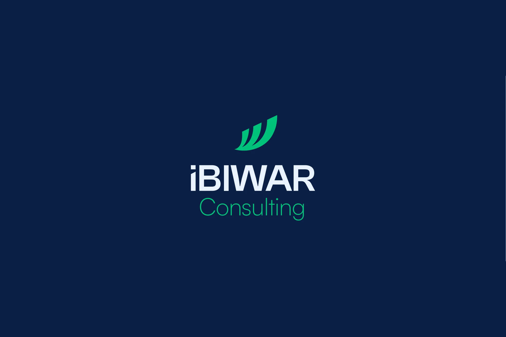 iBIWAR Consulting